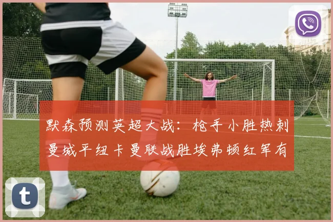 默森预测英超大战：枪手小胜热刺曼城平纽卡曼联战胜埃弗顿红军有望取胜