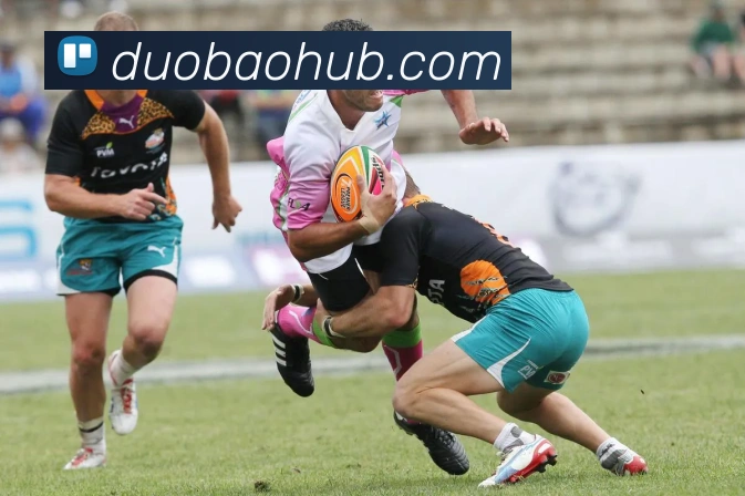 多宝电竞app发展历程